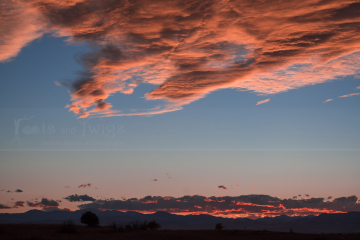 Prairie Sunset, Colorado