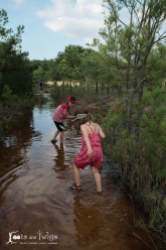 Along the "trail" to the dunes at Jockey's Ridge... Trying to avoid injuring any of the OODLES of tadpoles in the water.