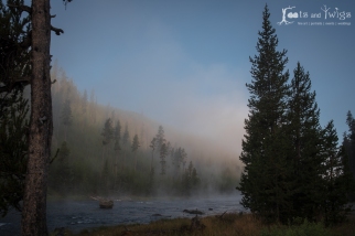 Morning Fog, Yellowstone National Park, Wyoming