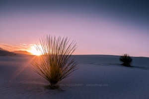 Late Winter Sunset at White Sands National Park